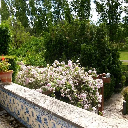 Apartment Libania *